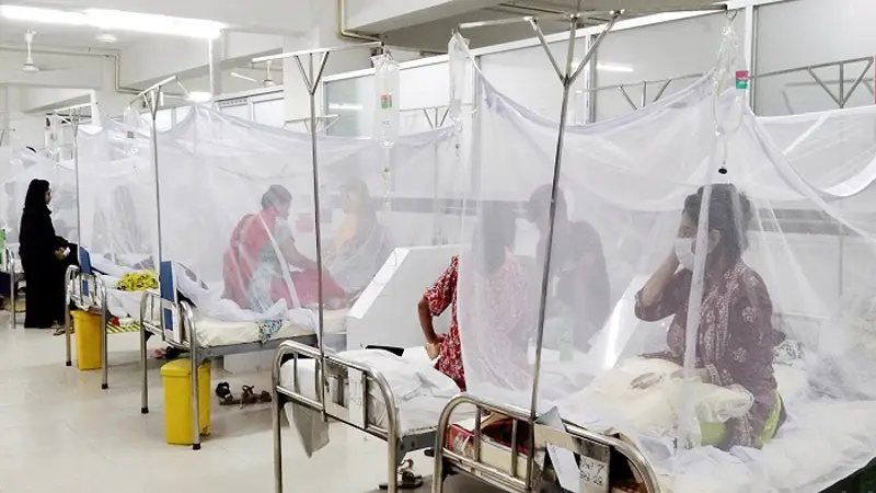 February 4 2025/dengue-22-2209181241.webp